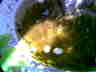 Licht
